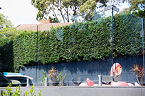 Custom Frameless Glass Pool Fences from FGS Hardware