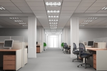 	How to Reduce Noise Transmission in Offices by Bellis	