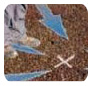 International Leak Detection