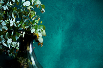 French Wash Deep Paint Colour Range from Porters Paints