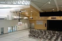 	Decorative and Acoustic Panels for College Gymnasiums by Supawood	