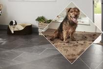 	Family and Pet Friendly Flooring by Karndean Designflooring	