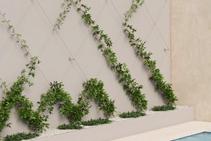 	Stainless Steel Wire Garden Trellis by Miami Stainless	