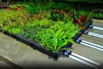 	Modular Planting Tray System by Elmich	