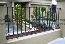 	Wrought Iron Fencing Designs from Budget Wrought Iron	