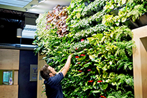 Professional Vertical Gardens with Gro-Wall® Slim Pro by Atlantis