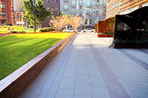 Public Area Landscaping for Block 11 by AYZ Landscapes