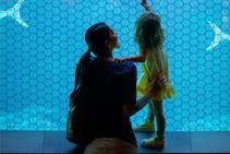 	Antimicrobial Films for High Touch Surfaces by Solar Gard	