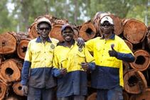 	From Indigenous Sawmill to Bushfire Safe Windows by Paarhammer	