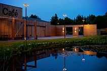 Pole Mounted Luminaires for Croxley Park by WE-EF