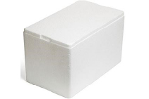Expanded Polystyrene Shapes for Protective Food Packaging by Foamex