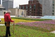 	Leak Detection for Green Roof Systems by ILD Australia	