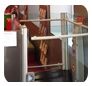 Easy Living Home Elevators