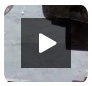 Steel Windows & Doors