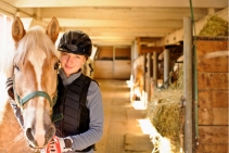 	Interlocking Horse Stall Mats for Stabled Horses with Inflamed Joints	