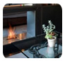 EcoSmart Fire