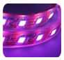 Optic Fibre