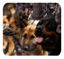 Queensland Security Systems