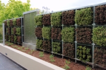 	Modular Green Wall by KHD	