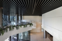 	High-Performance Solar Control for Eleven Eastern by Verosol	