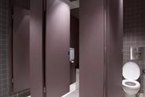 	Ceiling Suspended Bathroom Stalls from Flush Partitions	