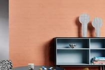 	Tips for Room Makeovers on a Budget from Dulux	