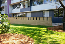 Sustainable Facade Cladding for Schools by Futurewood