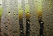 Ventilate to Prevent Surface Condensation with Homevent