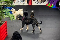 Sustainable Mat Flooring - Range 4002 from Sherwood Enterprises