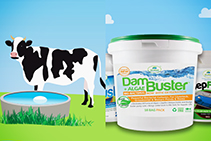 Clean Water Sources with Dam Buster by Bio Natural Solutions