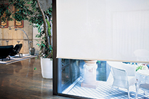 Smooth Roller Blinds - Mytec by TOSO Australia