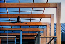 Structural Timber by Boral from Hazelwood & Hill