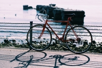 	Heavy Duty Vertical Locker for Bikes by Cora Bike Rack	