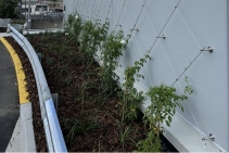 	Marine Grade Stainless Steel for Vertical Gardens by Miami Stainless	