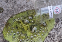 	Acid Protection Solution by Poly-Tech	