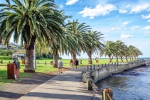 	Kiama Sculpture Walk 2025 by ARTPark Australia	