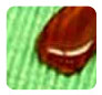Nanotec