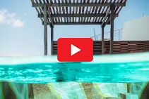 Custom Pool & Art Mosaics by TREND