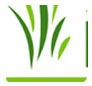 Downes Wholesale Nursery