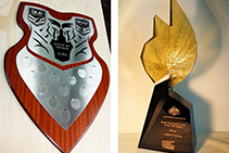 Sport Participation and Awards from Architectural Signs