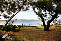 Rebuilding with ICF's Post Bushfire Devastation with ZEGO