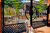 Wrought Iron Gates - Sydney Showroom with AWIS