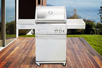 2 Burner Gas Barbeques with Trolley from Thermofilm