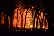 	Construction in Bushfire Areas by Trevor Kempster Consultancy Services	