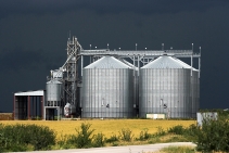 	Vibrating Rod Level Switch for Silos by Powerflo Solutions	