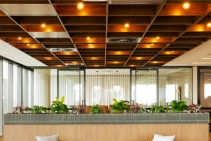 	WAFFLE Grid Ceilings for Architectural Depth by SUPAWOOD	
