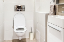 	Quiet Fragrance Diffuser for WC by Verde Solutions	
