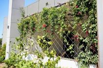 	How to Bring Green and Green Wall into Your Home from Miami Stainless	