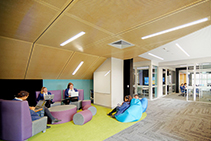 Acoustic Plywood Ceilings for Nagle College by Keystone Linings