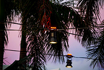 Catenary Lighting for St Pete Pier by Ronstan